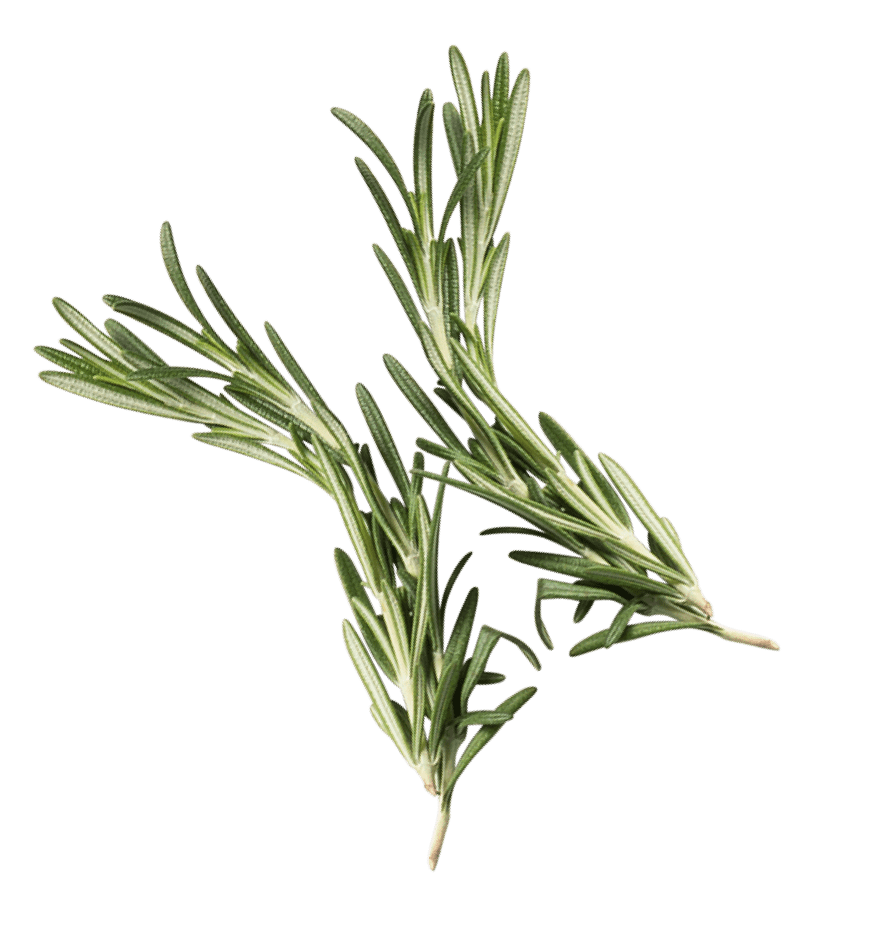 Rosemary